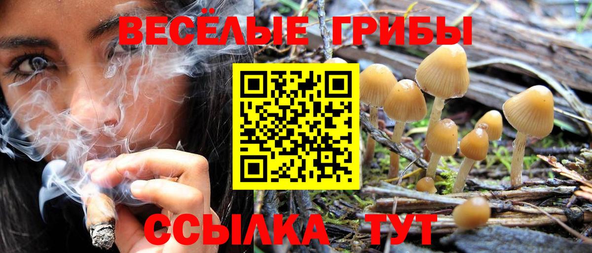 Галлюциногенные грибы Psilocybe  Вход с VPN  наркотики  Галлюциногенные грибы мухоморы  Семёнов 