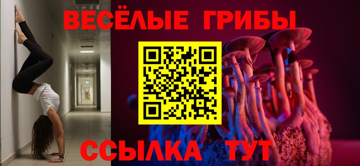 Галлюциногенные грибы Cubensis Семёнов